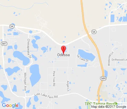 logo-image - odessa-fl